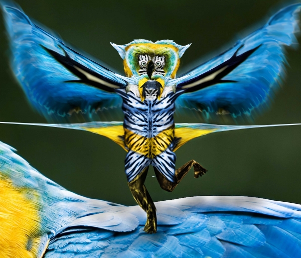 Creation of Parrot Man: Step 14